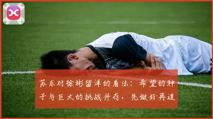 苏东对徐彬留洋的看法：希望的种子与巨大的挑战并存，先做好再追求完美